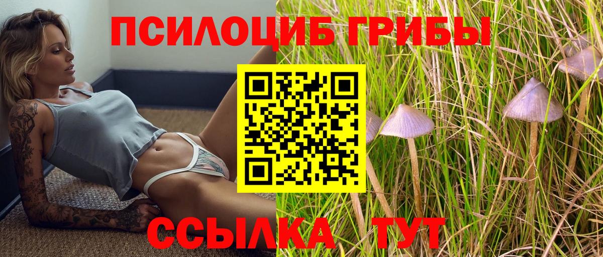 Галлюциногенные грибы Magic Shrooms  Вход с VPN  что такое наркотик  Буйнакск  Псилоцибиновые грибы прущие грибы 