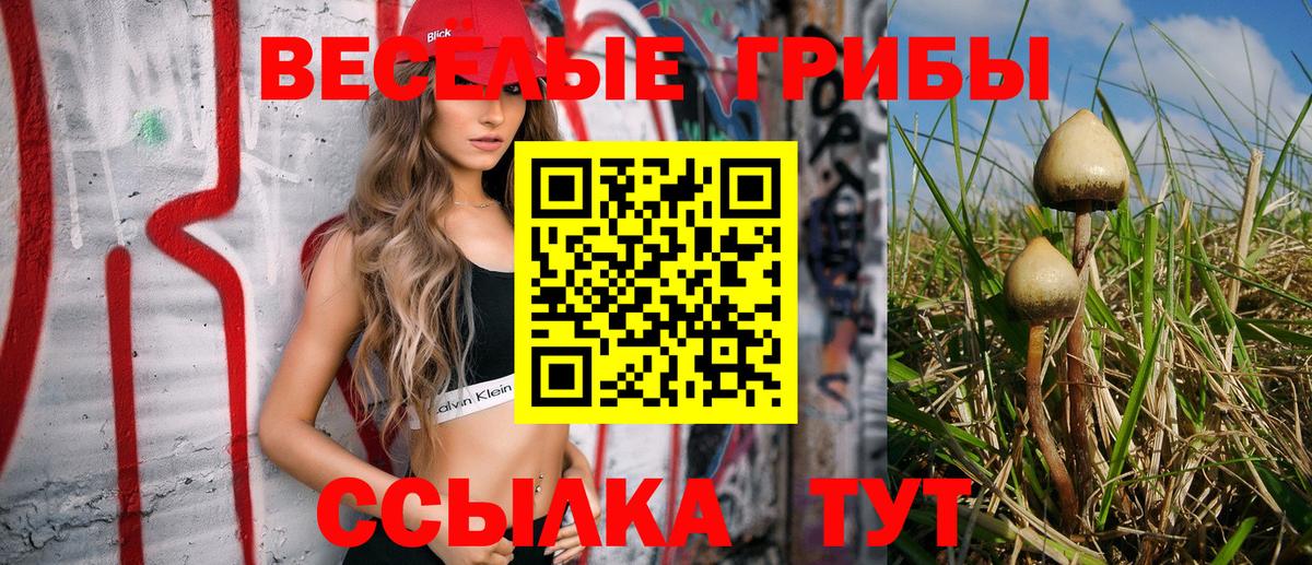 Галлюциногенные грибы ЛСД Буйнакск